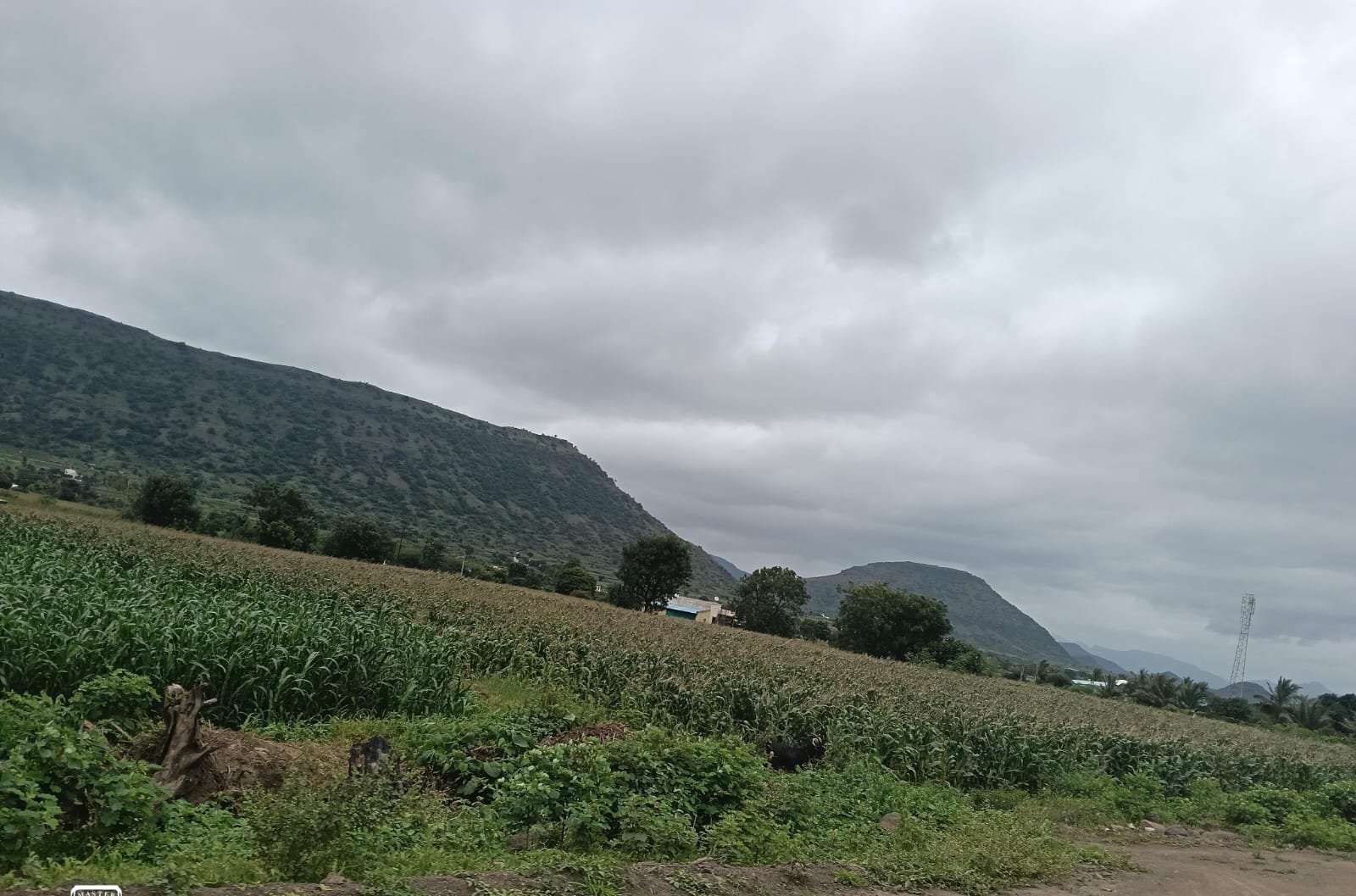 गाव आणि शेती